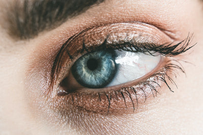 Fake Eyelash Style Guide: Everything You Need to Know